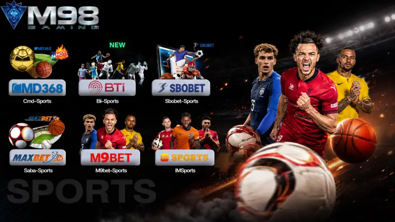 Review of Elite Global Sportsbook Lobbies